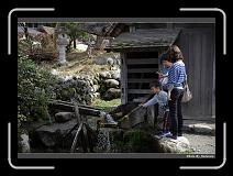 IMG_2534 * 900 x 644 * (283KB)
