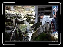 IMG_2536 * 900 x 644 * (299KB)