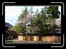 IMG_2540 * 900 x 644 * (291KB)