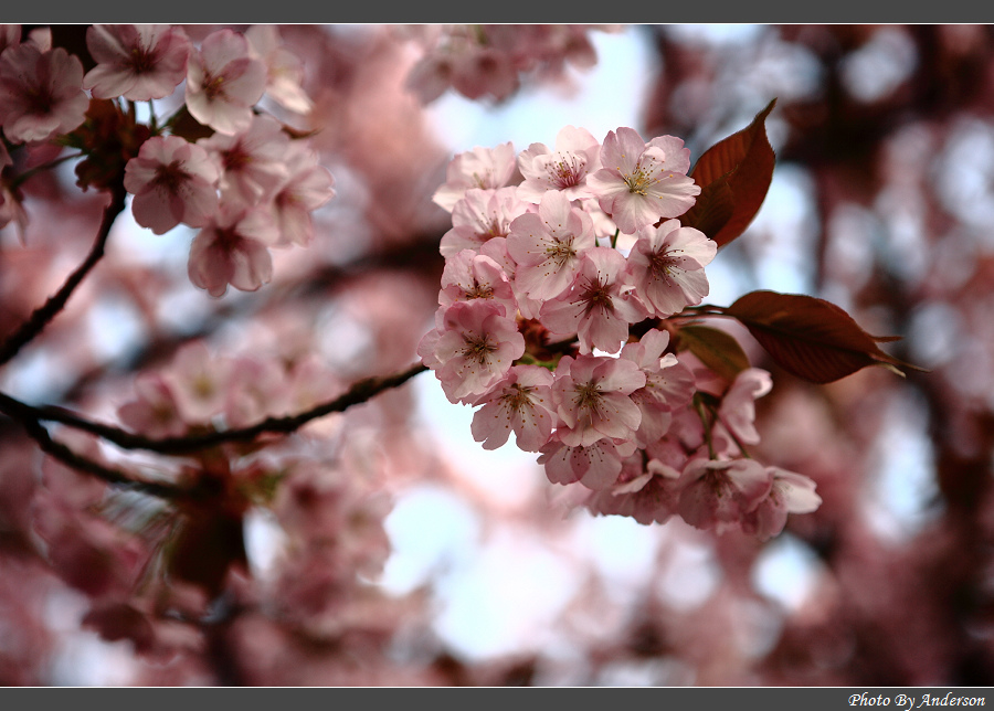 下一張幻燈片
