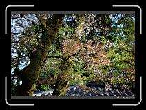 IMG_2559 * 900 x 644 * (292KB)