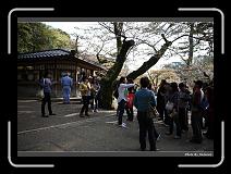 IMG_2560 * 900 x 644 * (299KB)
