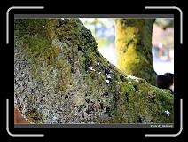 IMG_2563 * 900 x 644 * (297KB)