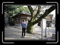 IMG_2564 * 900 x 644 * (292KB)