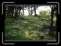 IMG_2566 * 900 x 644 * (292KB)
