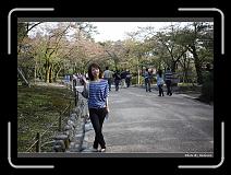 IMG_2567 * 900 x 644 * (299KB)