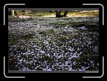 IMG_2570 * 900 x 644 * (289KB)