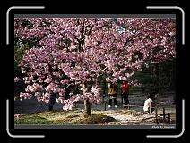 IMG_2573 * 900 x 644 * (293KB)