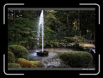 IMG_2574 * 900 x 644 * (297KB)