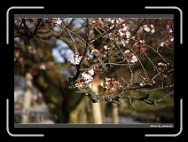IMG_2576 * 900 x 644 * (273KB)