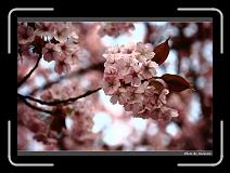 IMG_2580 * 900 x 644 * (270KB)