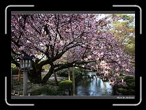 IMG_2582 * 900 x 644 * (294KB)
