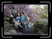 IMG_2584 * 900 x 644 * (299KB)