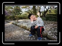 IMG_2588 * 900 x 644 * (297KB)