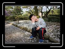 IMG_2589 * 900 x 644 * (293KB)
