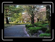 IMG_2596 * 900 x 644 * (299KB)