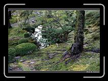 IMG_2599 * 900 x 644 * (294KB)