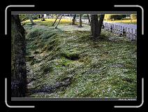 IMG_2600 * 900 x 644 * (295KB)