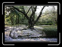 IMG_2602 * 900 x 644 * (297KB)