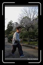 IMG_2612 * 600 x 966 * (297KB)