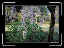 IMG_2613 * 900 x 644 * (296KB)