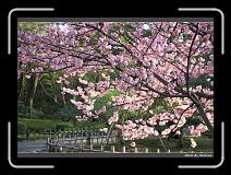 IMG_2622 * 900 x 644 * (295KB)