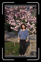 IMG_2624 * 600 x 966 * (290KB)