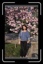 IMG_2625 * 600 x 966 * (296KB)
