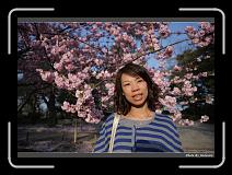 IMG_2626 * 900 x 644 * (278KB)