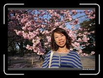 IMG_2627 * 900 x 644 * (285KB)