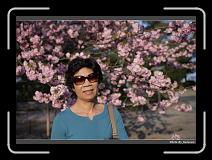 IMG_2628 * 900 x 644 * (261KB)