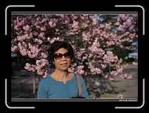 IMG_2629 * 900 x 644 * (296KB)