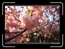 IMG_2631 * 900 x 644 * (281KB)