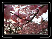 IMG_2633 * 900 x 644 * (286KB)