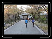IMG_2638 * 900 x 644 * (298KB)