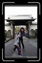 IMG_2640 * 600 x 966 * (267KB)