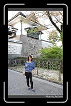 IMG_2643 * 600 x 966 * (290KB)