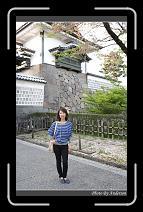IMG_2645 * 600 x 966 * (297KB)
