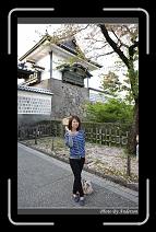 IMG_2648 * 600 x 966 * (289KB)