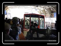 IMG_2682 * 900 x 644 * (284KB)