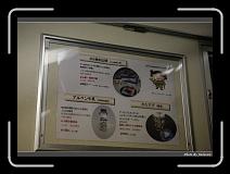 IMG_2684 * 900 x 644 * (254KB)