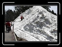 IMG_2690 * 900 x 644 * (294KB)