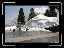 IMG_2698 * 900 x 644 * (291KB)
