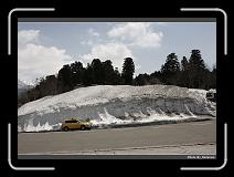 IMG_2717 * 900 x 644 * (278KB)