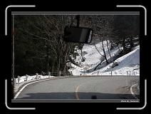 IMG_2730 * 900 x 644 * (289KB)