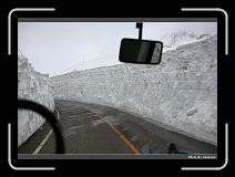 IMG_2734 * 900 x 644 * (271KB)