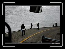 IMG_2736 * 900 x 644 * (278KB)