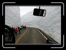 IMG_2737 * 900 x 644 * (286KB)