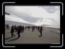IMG_2745 * 900 x 644 * (279KB)