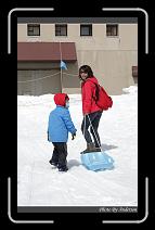 IMG_2746 * 600 x 966 * (261KB)